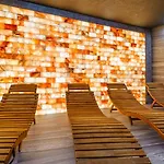 Blue Premium Pool Sauna Fitness Free
