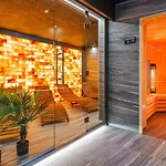Blue Premium Pool Sauna Fitness Free