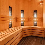 Blue Premium Pool Sauna Fitness Free