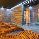Blue Premium Pool Sauna Fitness Free